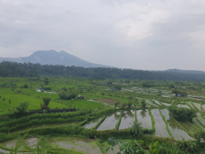 Sidemen, le Bali rural et préservé.